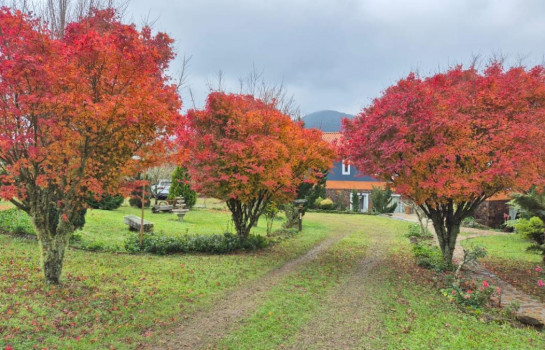 Qual a Melhor Época para Visitar Urubici, SC? Descubra Quando Viajar para Viver o Encanto da Serra Catarinense - Pousada Cantos e Encantos - Urubici | Serra Catarinense Qual a Melhor Época para Visitar Urubici, SC? Descubra Quando Viajar para Viver o Encanto da Serra Catarinense - Pousada Cantos e Encantos - Urubici | Serra Catarinense