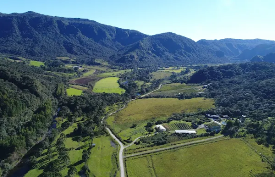 Da horta ao prato: nasce uma nova experiência sensorial em Urubici - Pousada Cantos e Encantos - Urubici | Serra Catarinense Da horta ao prato: nasce uma nova experiência sensorial em Urubici - Pousada Cantos e Encantos - Urubici | Serra Catarinense