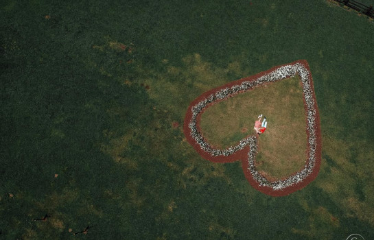 O maior jardim de margaridas de Santa Catarina fica em Urubici, na Serra Catarinense - Pousada Cantos e Encantos - Urubici | Serra Catarinense O maior jardim de margaridas de Santa Catarina fica em Urubici, na Serra Catarinense - Pousada Cantos e Encantos - Urubici | Serra Catarinense