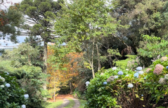 Silêncio como Luxo: por que a “natureza adulta” é o novo alto padrão — e como vivê-la na Pousada Cantos e Encantos - Pousada Cantos e Encantos - Urubici | Serra Catarinense Silêncio como Luxo: por que a “natureza adulta” é o novo alto padrão — e como vivê-la na Pousada Cantos e Encantos - Pousada Cantos e Encantos - Urubici | Serra Catarinense