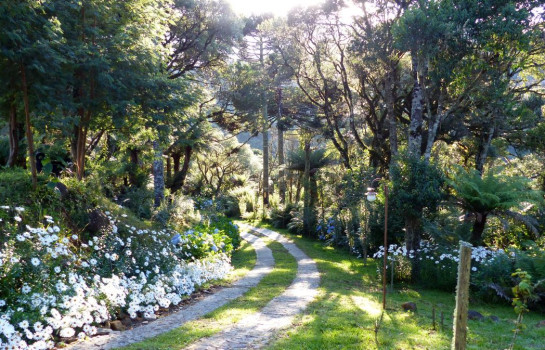 Flora e Fauna - Pousada Cantos e Encantos - Urubici | Serra Catarinense