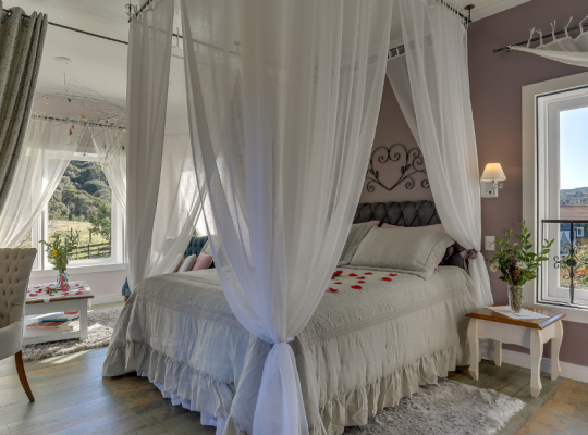 Amor Perfeito - Encante seu Amor! - Urubici | Serra Catarinense Amor Perfeito - Encante seu Amor! - Urubici | Serra Catarinense