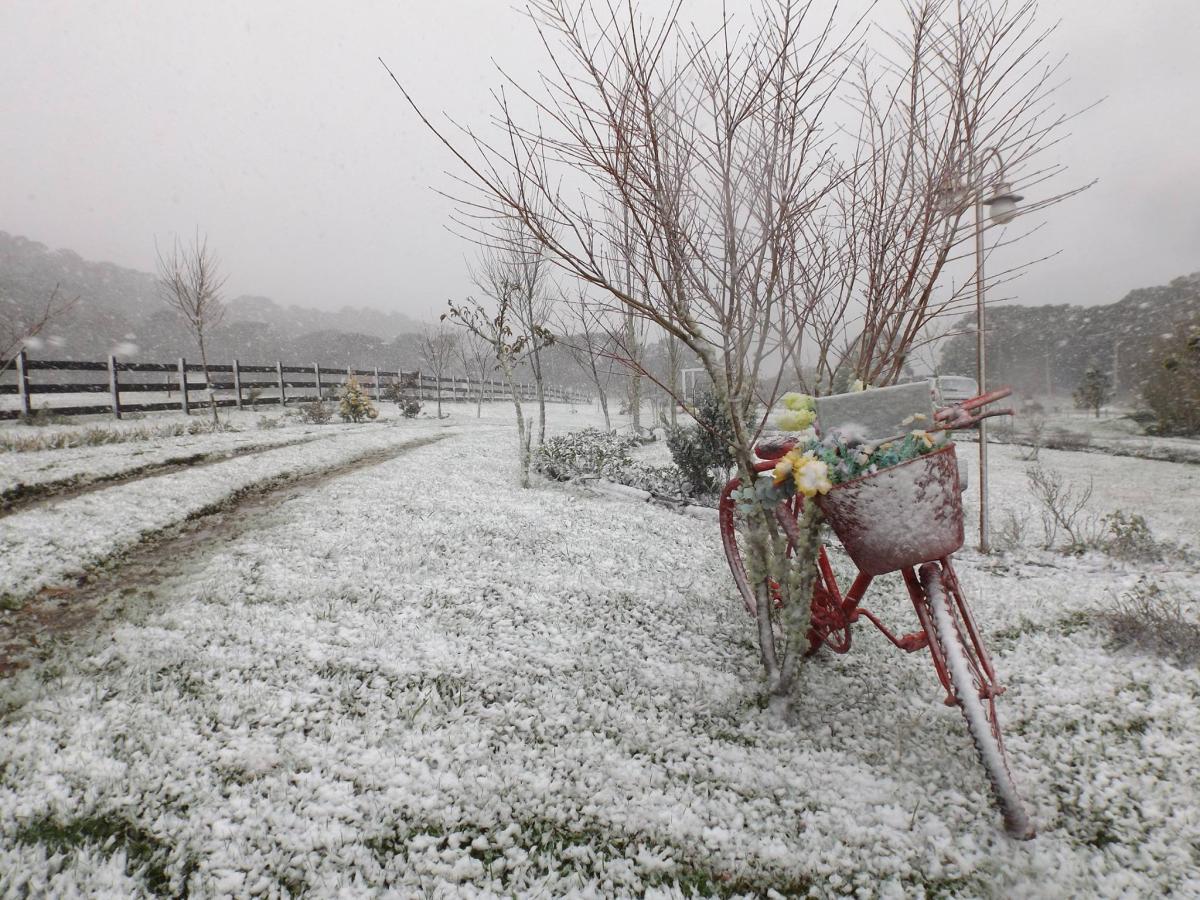 Quando Visitar Urubici, SC, para Presenciar a Neve
