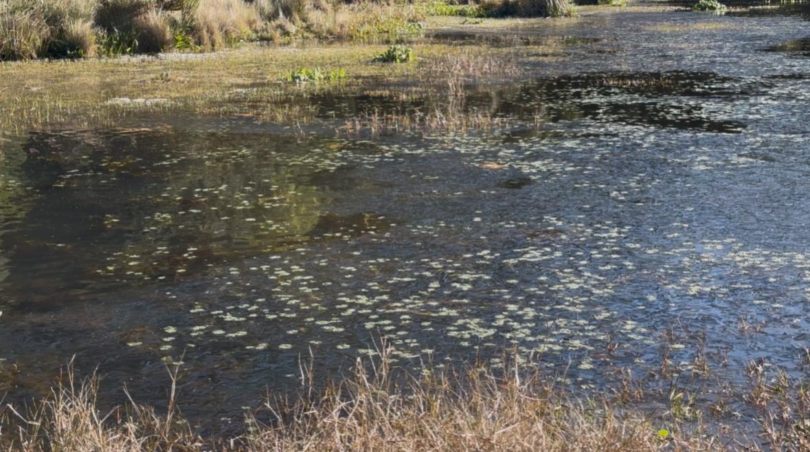 Lago congelado em Urubici, SC – Fenômeno raro no inverno da Serra Catarinense