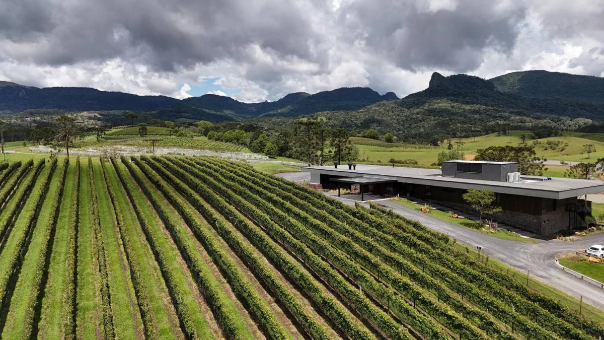 Vinícolas em Urubici SC e Serra Catarinense: descubra o sabor do frio com charme e autenticidade