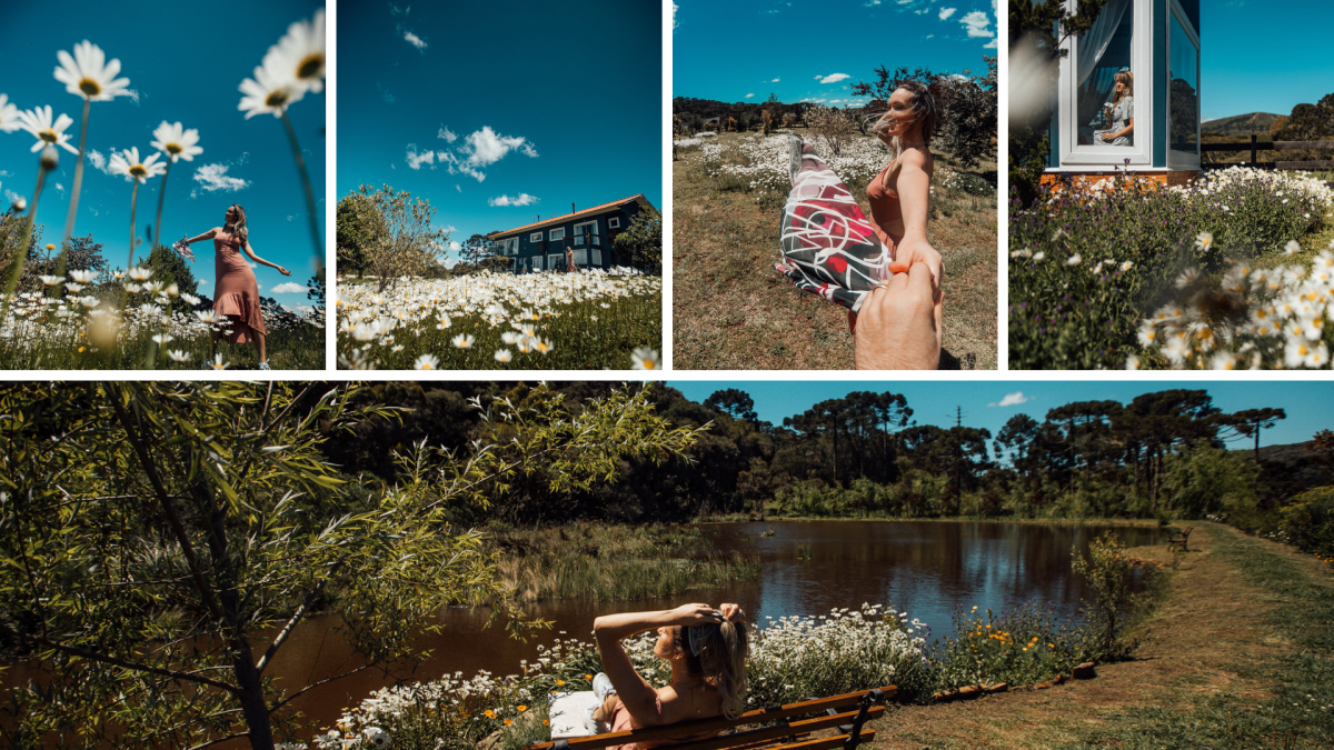 O maior jardim de margaridas de Santa Catarina fica em Urubici, na Serra Catarinense