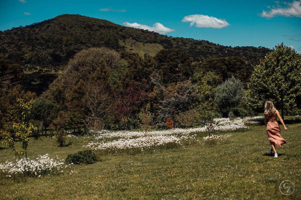O maior jardim de margaridas de Santa Catarina fica em Urubici, na Serra Catarinense