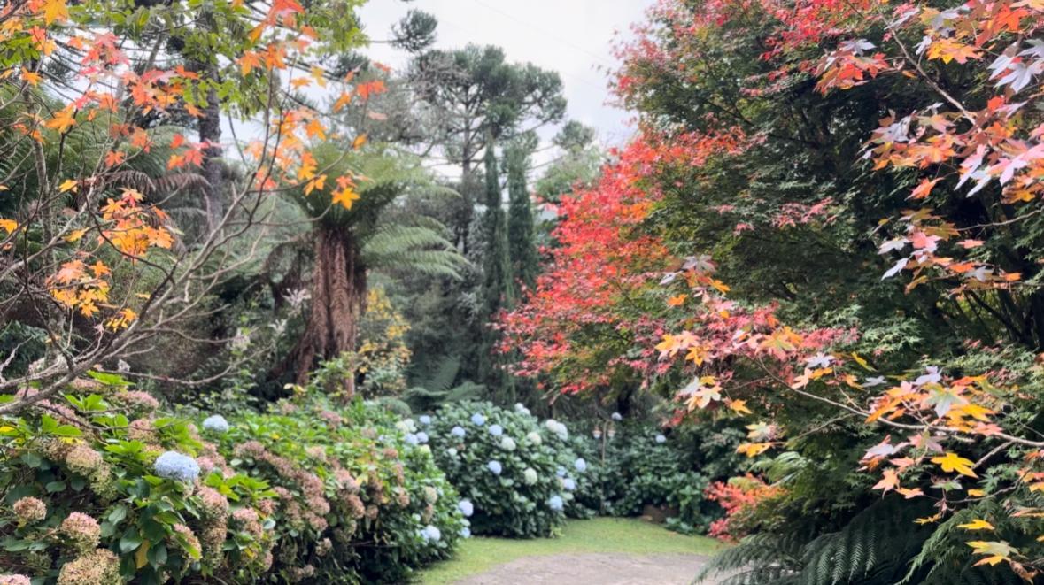 Silêncio como Luxo: por que a “natureza adulta” é o novo alto padrão — e como vivê-la na Pousada Cantos e Encantos