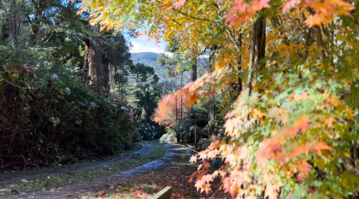 Silêncio como Luxo: por que a “natureza adulta” é o novo alto padrão — e como vivê-la na Pousada Cantos e Encantos