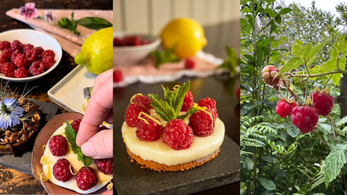 E se a melhor torta de limão da sua vida não estivesse em uma confeitaria?