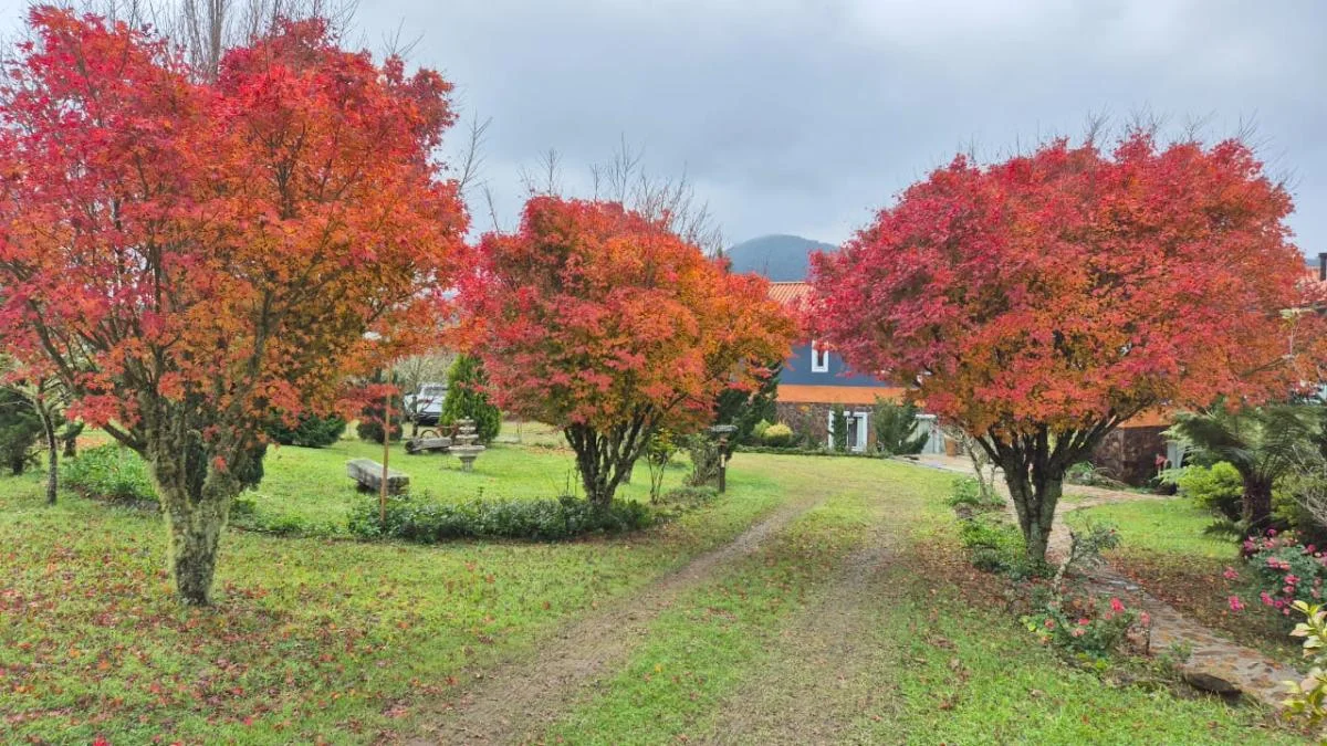 Natureza na Pousada Cantos e Encantos