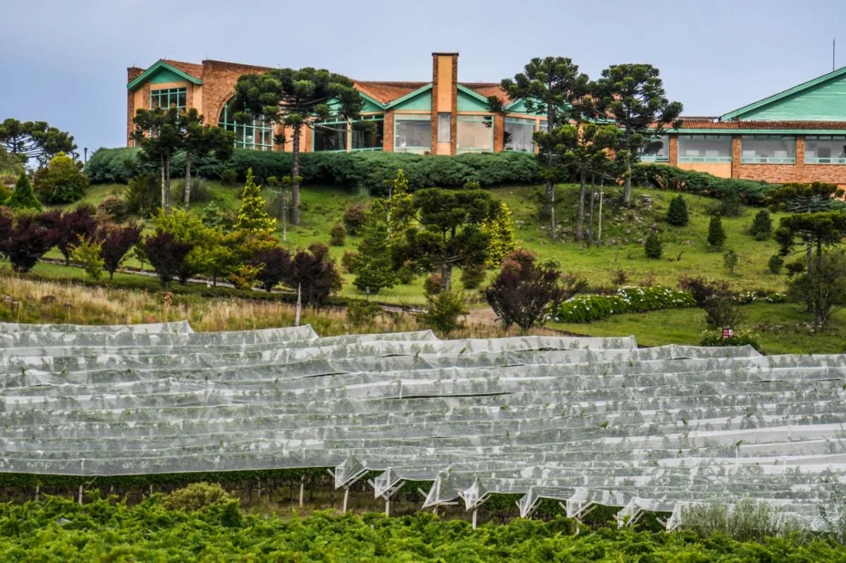 Vinícola da região de Urubici, passeio enoturístico próximo à pousada.
