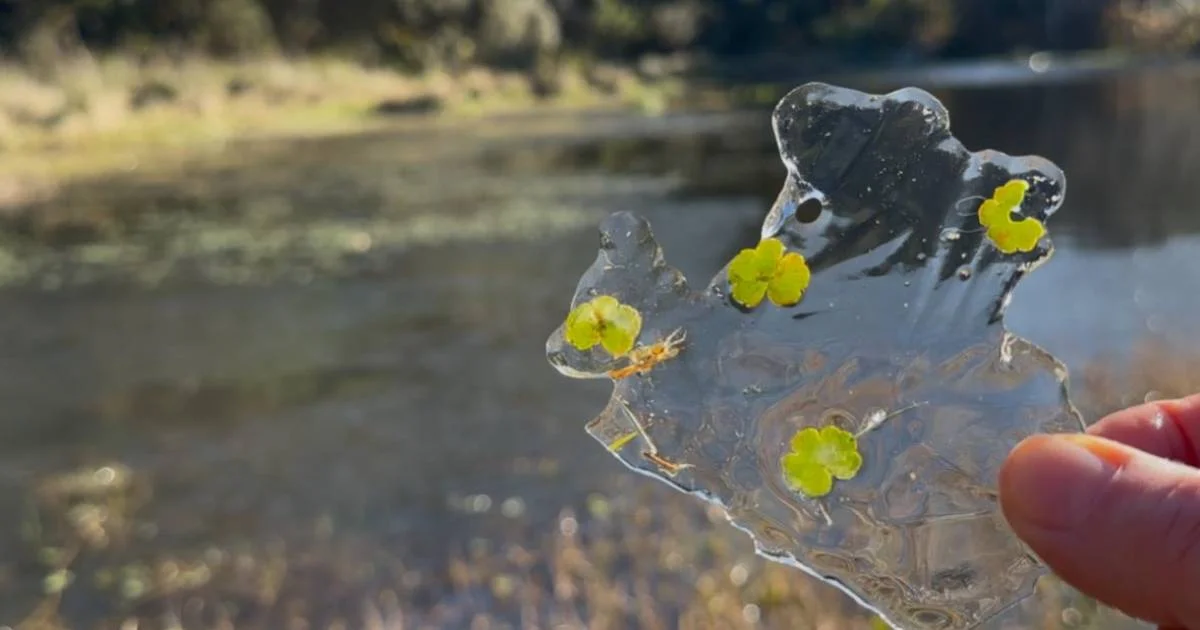 Lago congelado na Pousada Cantos e Encantos.