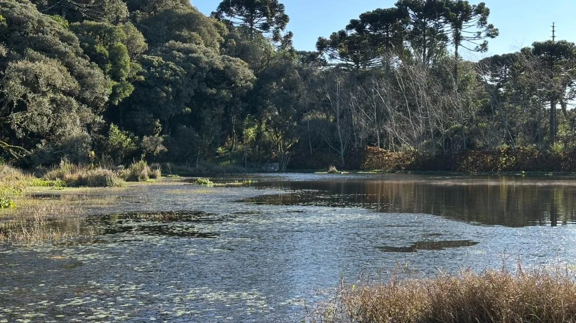 Lago natural em área verde próxima à Pousada Cantos e Encantos.