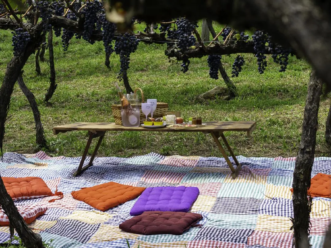 Piquenique romântico em vinhedo da Serra Catarinense.
