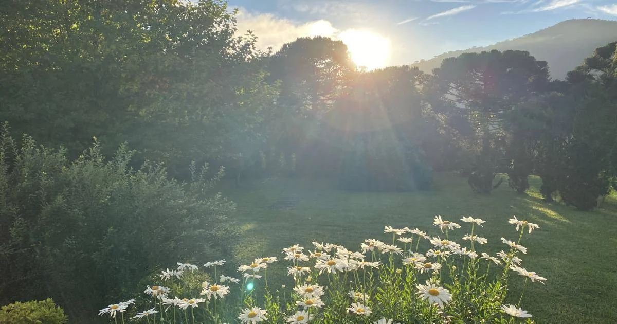 Jardim da Pousada Cantos e Encantos ao pôr do sol.