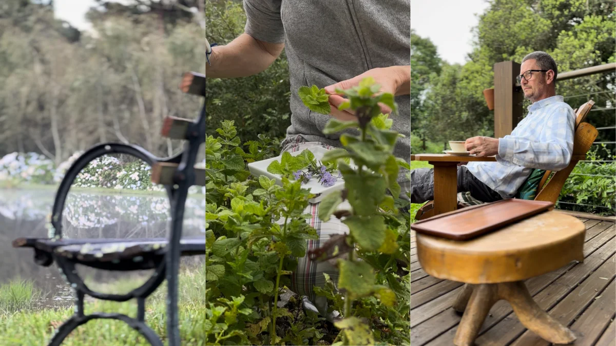 Mosaico de fotos da Pousada Cantos e Encantos.