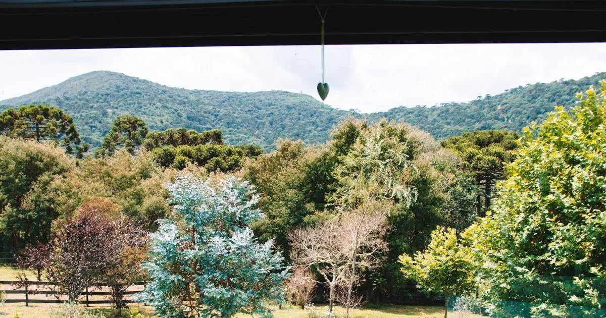 Vista para o jardim da janela de uma suíte da Pousada Cantos e Encantos.