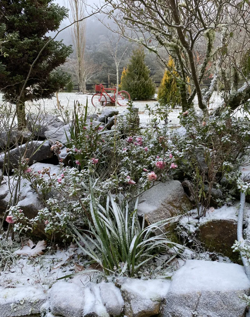Jardim da Pousada Cantos e Encantos em Urubici durante o inverno, com vegetação coberta por geada