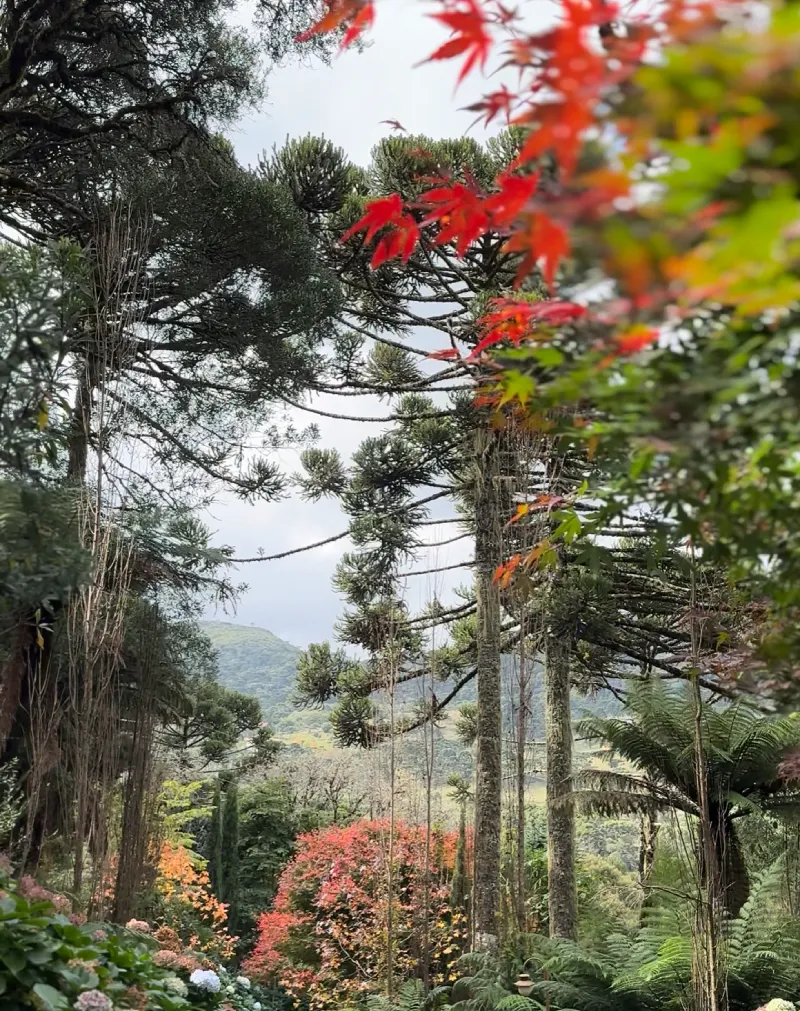Jardim da Pousada Cantos e Encantos em Urubici no outono, com árvores e folhas em tons avermelhados