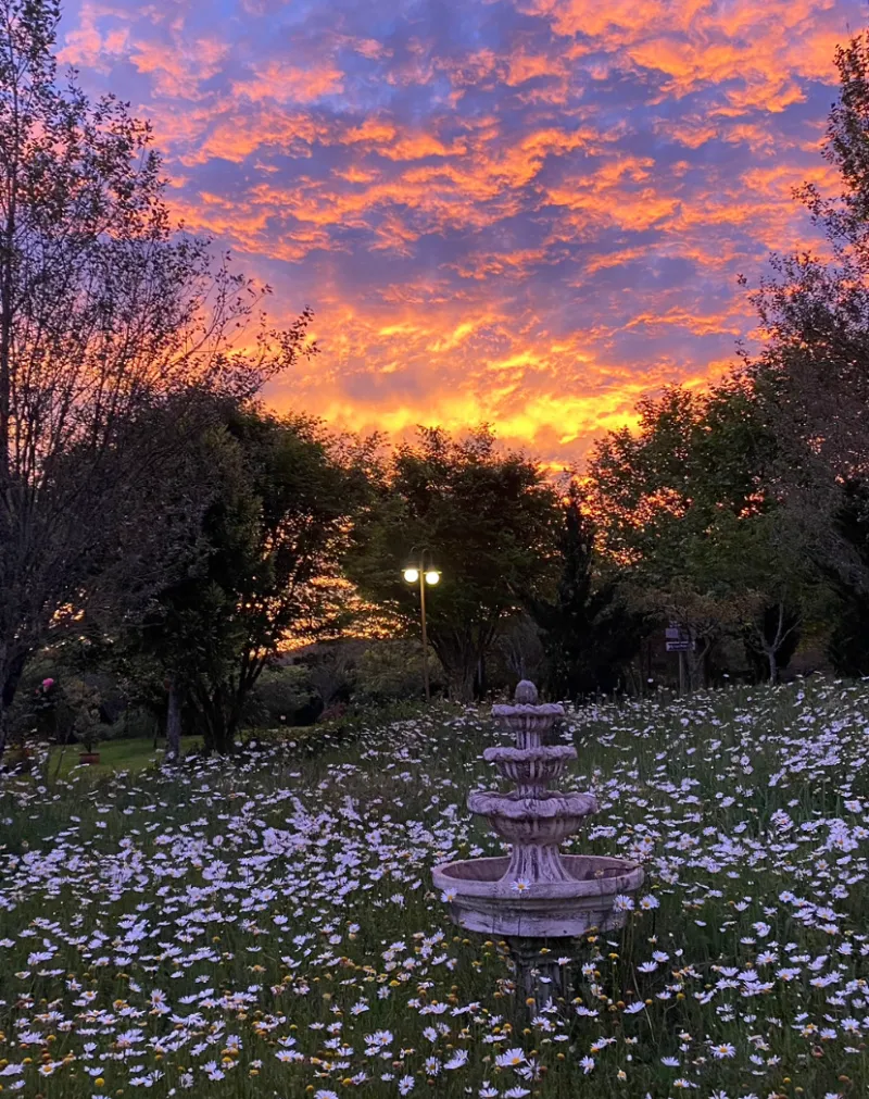 Jardim da Pousada Cantos e Encantos em Urubici ao entardecer, com flores silvestres e paisagem iluminada