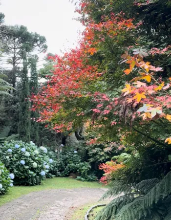 Caminho arborizado no jardim da Pousada Cantos e Encantos durante o outono em Urubici SC