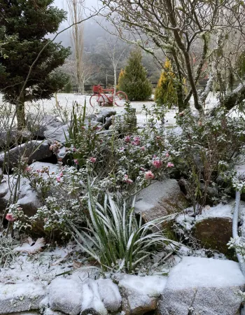 Jardim da Pousada Cantos e Encantos coberto de neve no inverno em Urubici SC