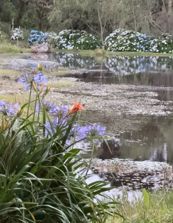 Flores e vegetação do jardim da Pousada Cantos e Encantos em Urubici