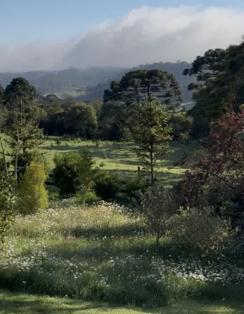 Paisagem natural de Urubici com campos verdes e montanhas da Serra Catarinense