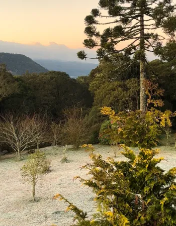 Vista panorâmica das montanhas e araucárias na Pousada Cantos e Encantos em Urubici