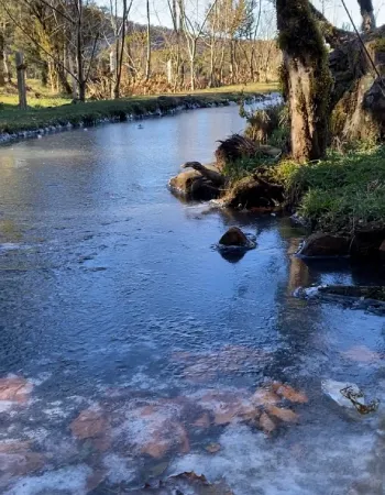 Rio com água corrente próximo à Pousada Cantos e Encantos em Urubici, em meio à natureza