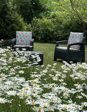 Área externa da Pousada Cantos e Encantos em Urubici com poltronas no jardim entre flores silvestres