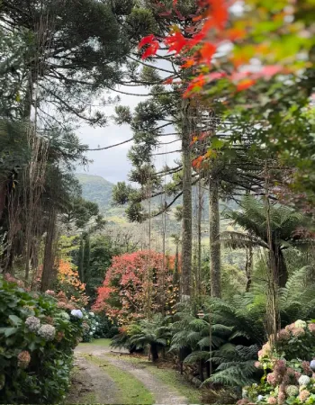 Caminho arborizado no jardim da Pousada Cantos e Encantos em Urubici, integrado à natureza