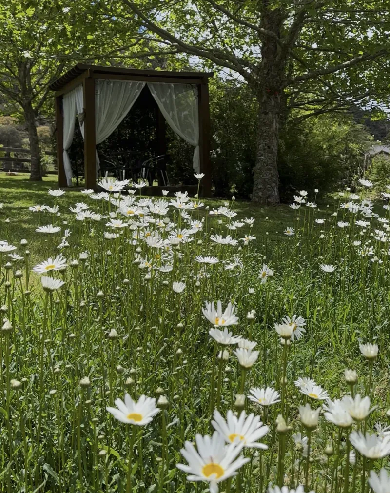 Jardim florido da Pousada Cantos e Encantos em Urubici, com espaço de descanso integrado à natureza