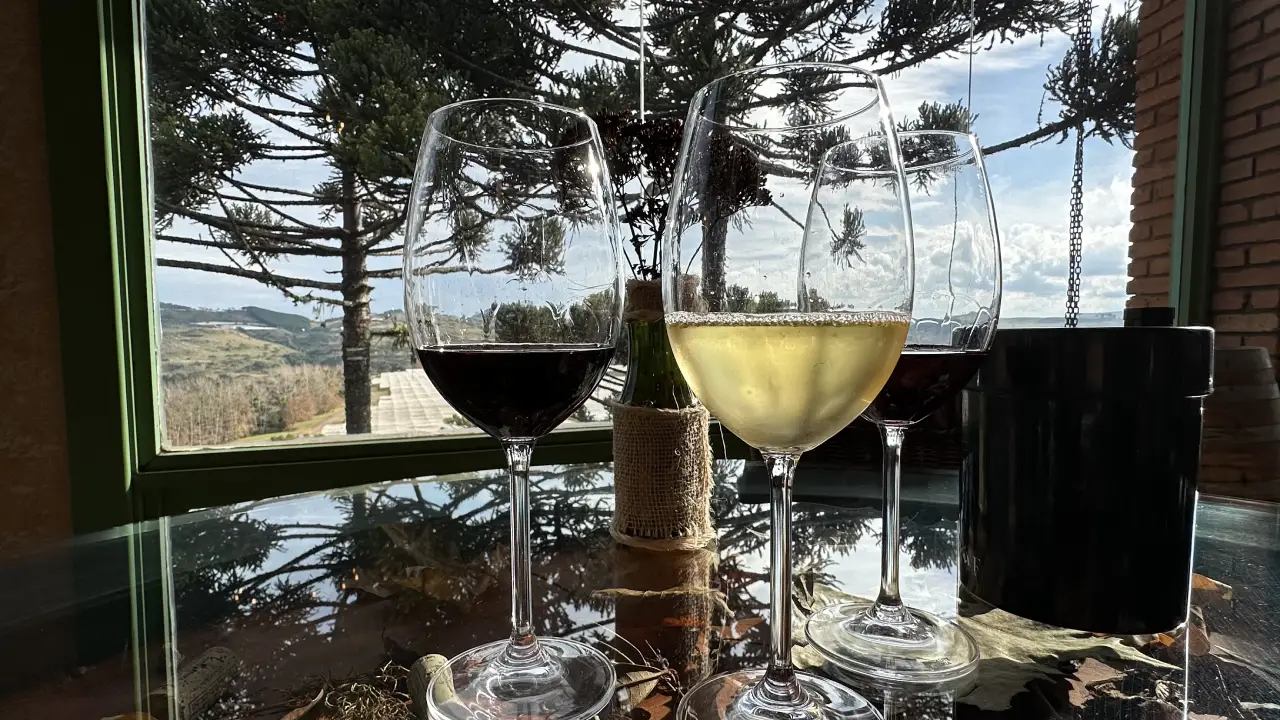 CantosEncantos-Vindima (6)