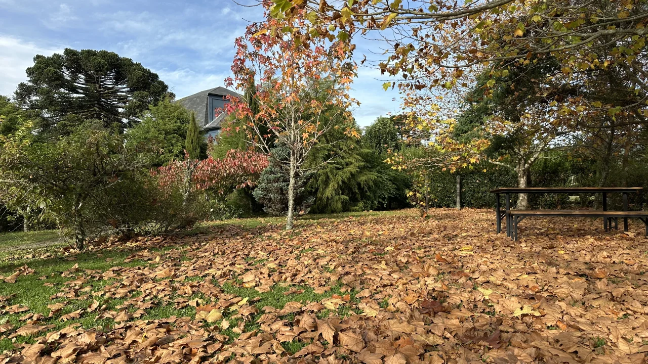 pousadacantosencantos-experiencias pousadacantosencantos-experiencias