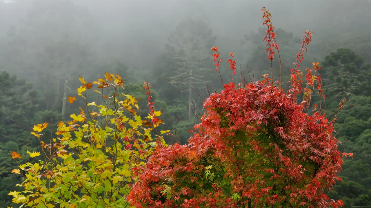 pousadacantosencantos-jardimoutono (3) pousadacantosencantos-jardimoutono (3)