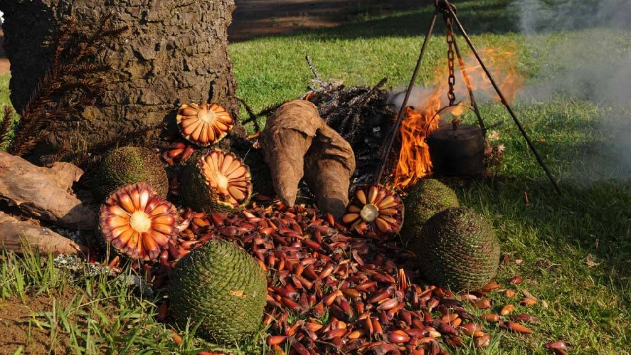 pousadacantosencantos-pinhao (4)