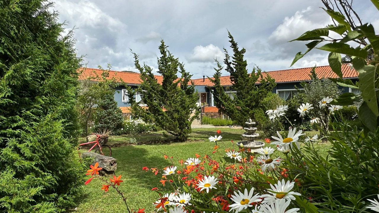 A primavera ainda não chegou, mas o jardim da Cantos e Encantos já começa a mudar A primavera ainda não chegou, mas o jardim da Cantos e Encantos já começa a mudar